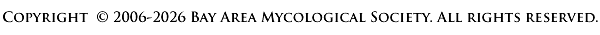 copyright